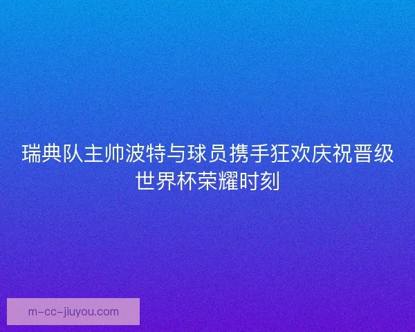 瑞典队主帅波特与球员携手狂欢庆祝晋级世界杯荣耀时刻